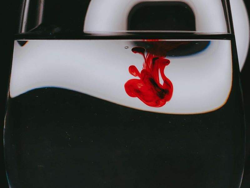 EimerProfi GmbH - Image 5